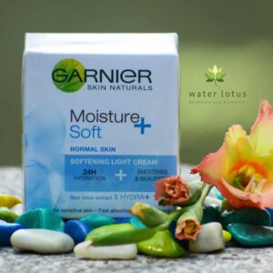Garnier Skin Natural Soft Moisture Cream
