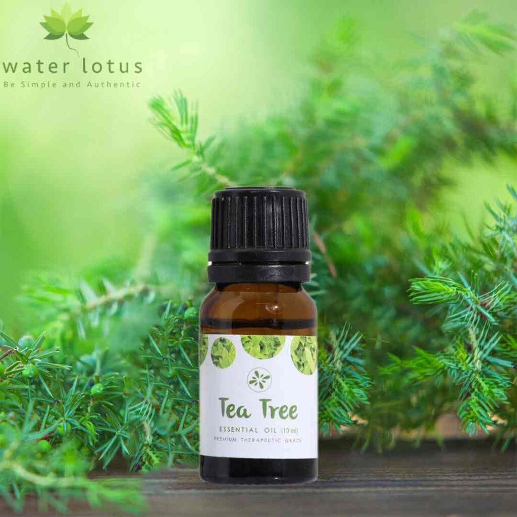 SKIN CAFE TEA TREE ESSENTIAL OIL