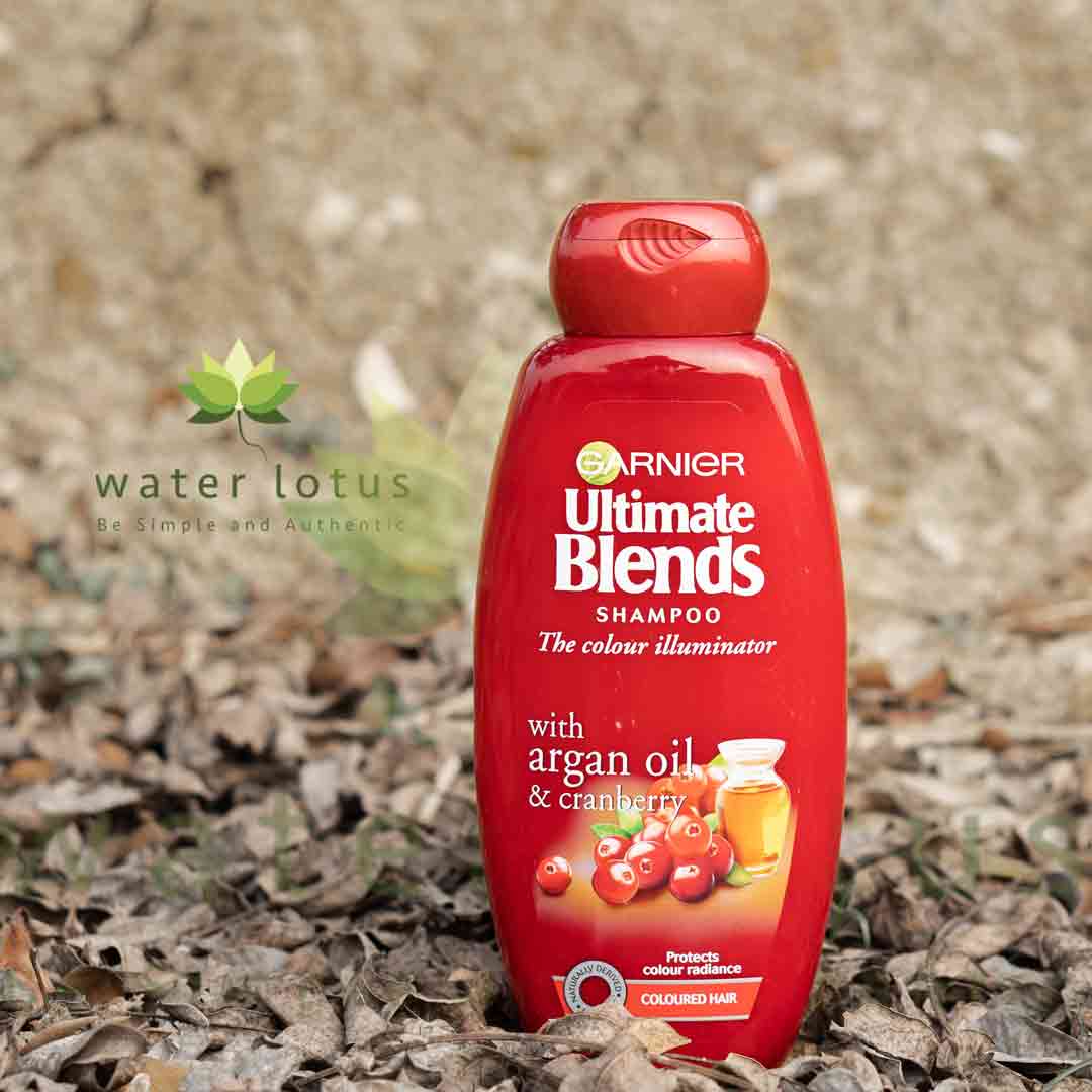 GARNIER ULTIMATE BLENDS ARGAN OIL & CRANBERY SHAMPOO