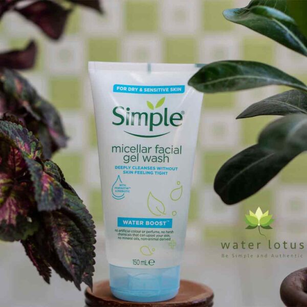 Simple micellar facial gel wash