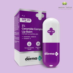 The-Derma-Co-1-Ceramide-Complex-Lip-Balm-4g