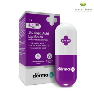The-Derma-Co-1-kojic-acid-lip-balm-4g